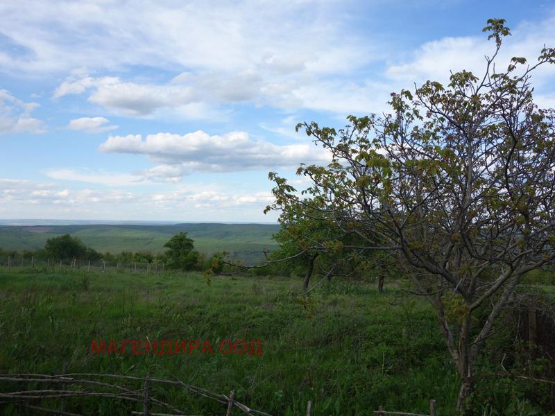 Продава ПАРЦЕЛ | Imot.bg — изображение 7