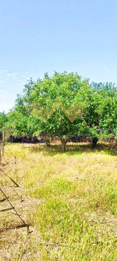 Till salu  Hus region Dobrich , Baltjik , 60 kvm | 64342382 - bild [11]