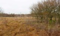 Продава  Парцел област Добрич , с. Храброво , 1420 кв.м | 69293450 - изображение [4]
