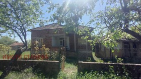 Hus Rakovitsa, region Vidin 3