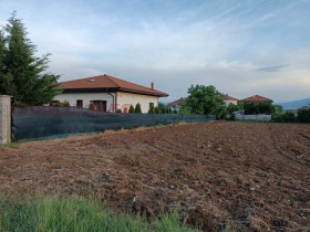 Plot Chepintsi, Sofia 1