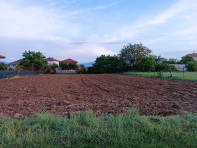 Plot Chepintsi, Sofia 2