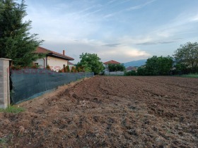 Plot Chepintsi, Sofia 3