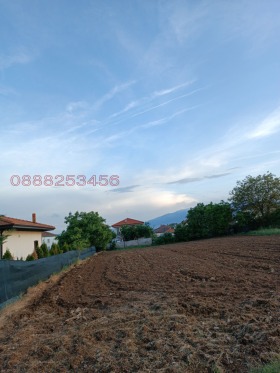 Plot Chepintsi, Sofia 4