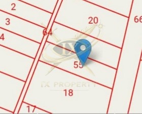 ������ ������� ������