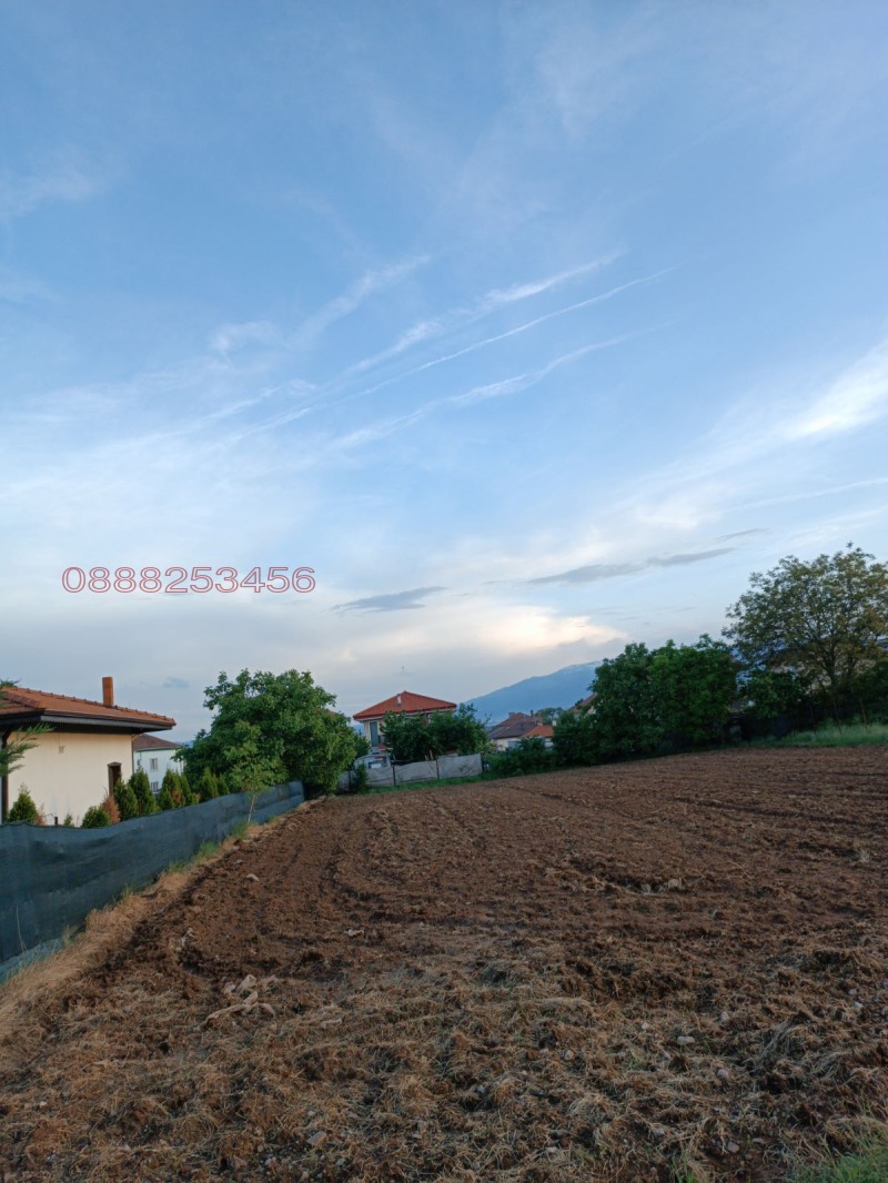 For Sale  Plot Sofia , Chepintsi , 1443 sq.m | 76065817 - image [4]