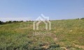 Продава ПАРЦЕЛ, Гърция, Халкидики • 240000 € / 469399.20 лв. • 52101032 14