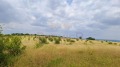 Продава ПАРЦЕЛ, област Варна, гр. Белослав • 23000 лв. • 74324152 — Holmes.bg