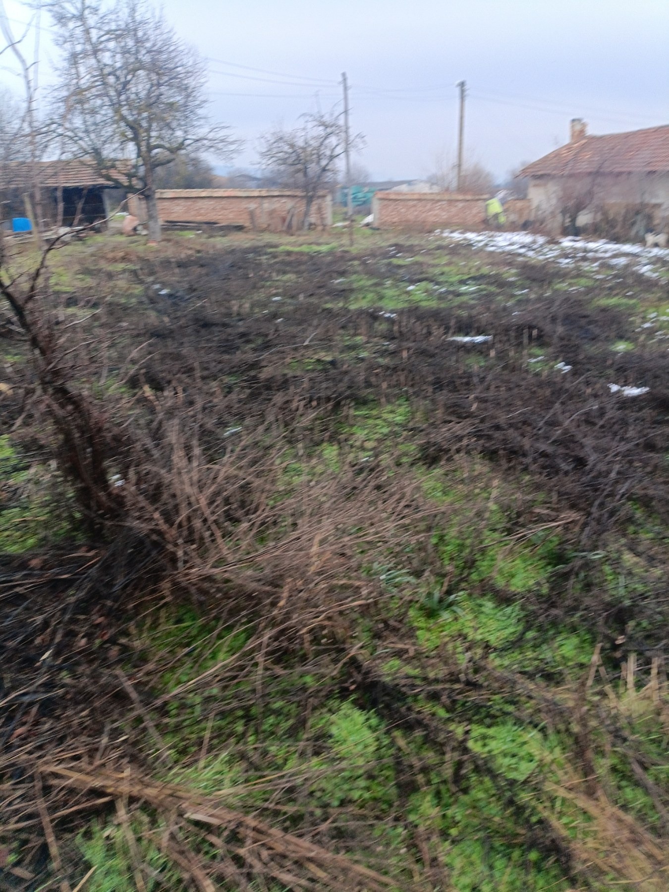 ������� ���� | Imot.bg � ����������� 8