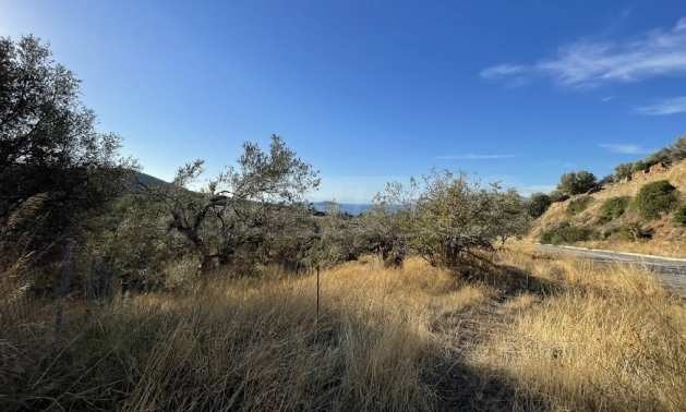 Продава ПАРЦЕЛ | Imot.bg — изображение 5