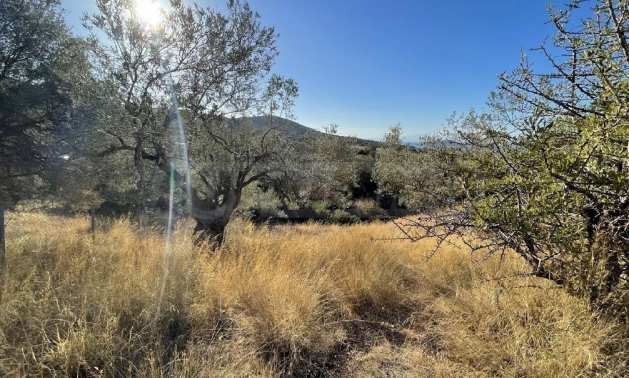 Продава ПАРЦЕЛ | Imot.bg — изображение 2