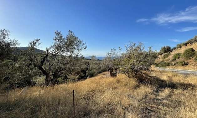 Продава ПАРЦЕЛ | Imot.bg — изображение 3