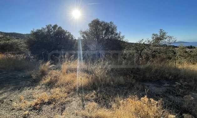 Продава ПАРЦЕЛ | Imot.bg — изображение 1