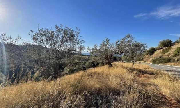 Продава ПАРЦЕЛ | Imot.bg — изображение 4