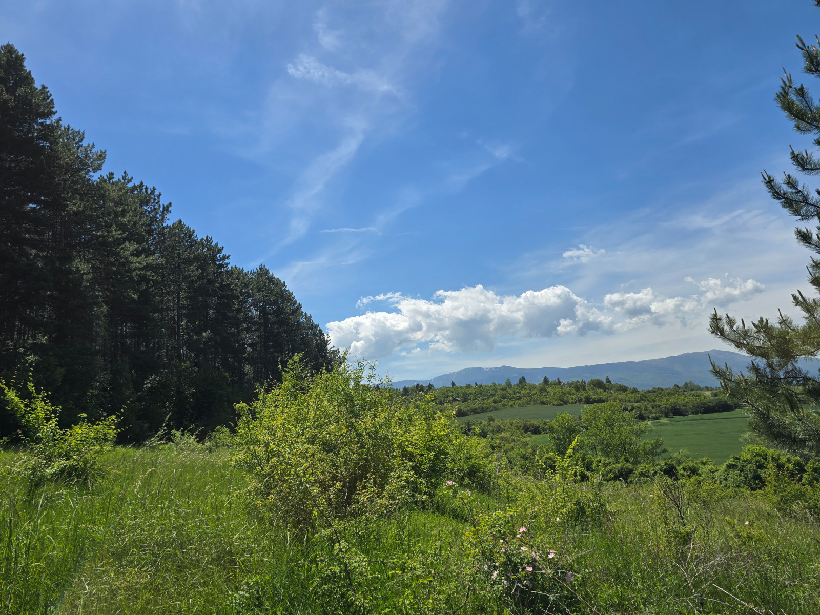 Продава ПАРЦЕЛ | Imot.bg — изображение 4