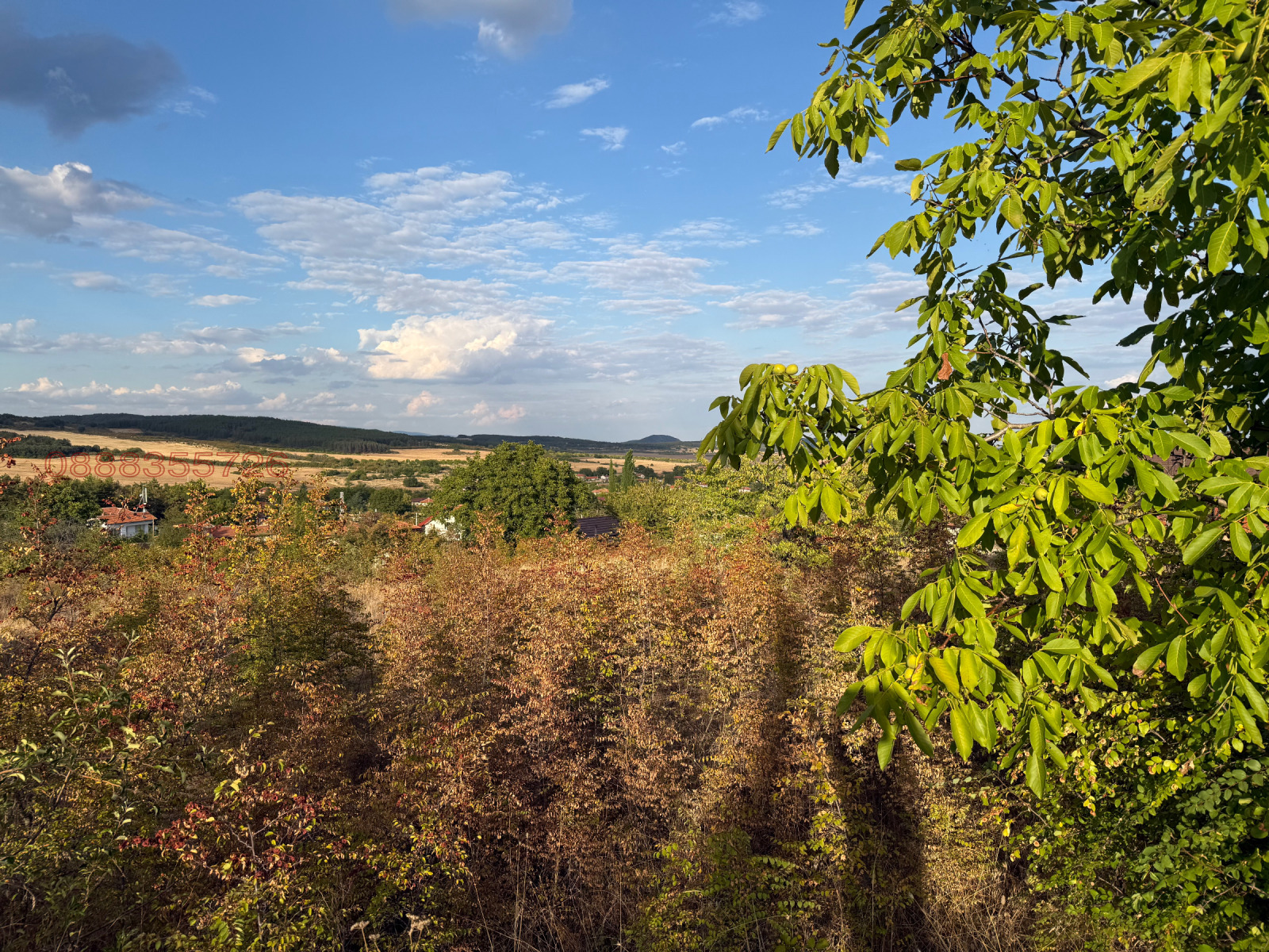 ������� ������ | Imot.bg � ����������� 4