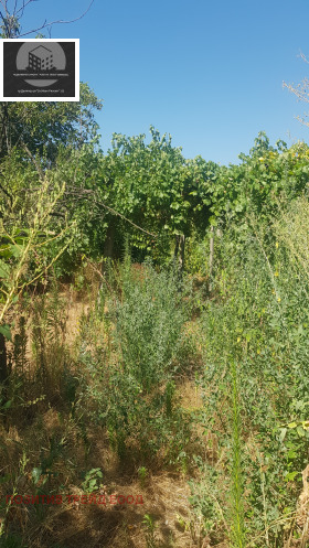 σπίτι Δυπνητσα, περιοχή Κιουστεντίλ 11