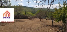 ����� ������� ������,�. ������, ������ ����� ������