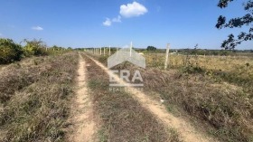 ����� ������� ������,���� �����, �-� ���������