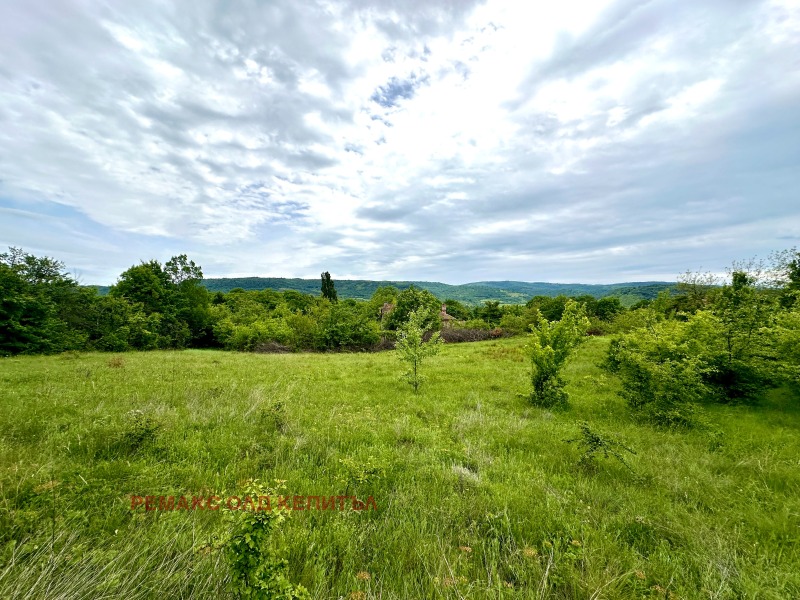 For Sale  Plot region Gabrovo , Zaya , 1474 sq.m | 62373677 - image [4]