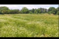 Продава ПАРЦЕЛ, с. Батишница, област Русе, снимка 2