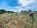 Продава ПАРЦЕЛ, област Добрич, гр. Каварна • 139000 € • 19935554 — Holmes.bg