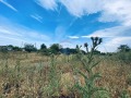 Продава ПАРЦЕЛ, област Добрич, гр. Каварна • 139000 € • 19935554 — Holmes.bg