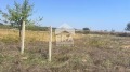 Продава ПАРЦЕЛ, гр. Варна, м-т Ракитника, снимка 4