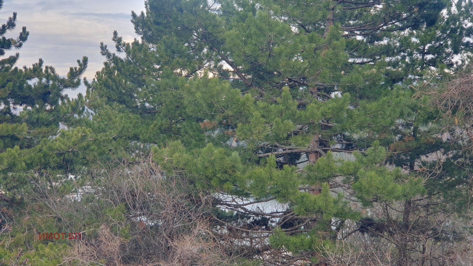 ������� ���� | Imot.bg � ����������� 10