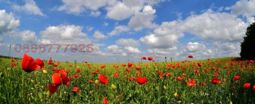 ������� ������ | Imot.bg � ����������� 1