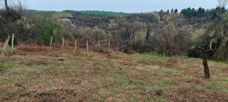 Продава КЪЩА, гр. Борово, област Русе, снимка 3 - Къщи - 52783263