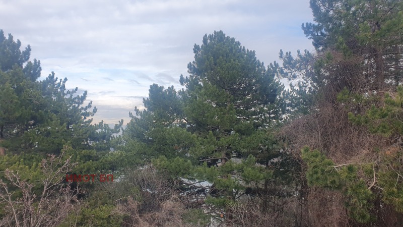 Продава КЪЩА, гр. София, с. Панчарево, снимка 7 - Къщи - 53228500