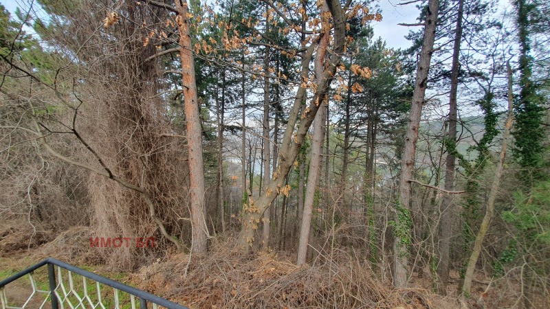 Продава КЪЩА, гр. София, с. Панчарево, снимка 16 - Къщи - 53228500