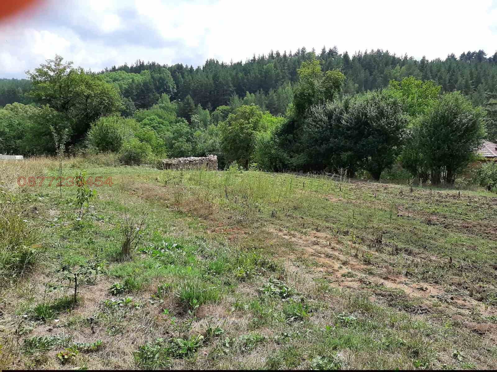 Продава ПАРЦЕЛ, с. Свежен, област Пловдив, снимка 2 - Парцели - 55010456