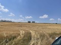 Продава  Парцел област София , с. Гурмазово , 10000 кв.м | 94141552 - изображение [8]