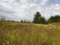 Продава ПАРЦЕЛ, област Пловдив, с. Ягодово • 80000 € • 66613137 — Holmes.bg