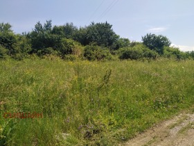 Handlung Golemo Butschino, region Pernik 5