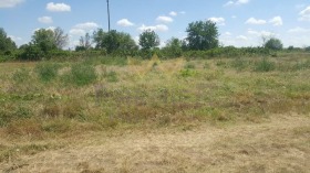 ����� ������� ������,�. ������ ������, ������ �����