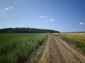 Продава ЗЕМЕДЕЛСКА ЗЕМЯ, с. Кошарица, област Бургас, снимка 12