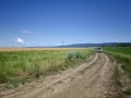 Продава ЗЕМЕДЕЛСКА ЗЕМЯ, с. Кошарица, област Бургас, снимка 13