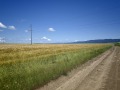 Продава ЗЕМЕДЕЛСКА ЗЕМЯ, с. Кошарица, област Бургас, снимка 11
