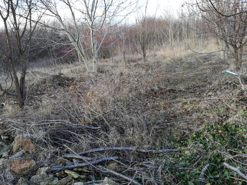 ������� ������ | Imot.bg � ����������� 2