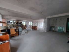 ����� ������� ����. ���������,���� ����, ���������� ���� - �����