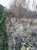 Продава ПАРЦЕЛ, с. Стаевци, област Добрич, снимка 11