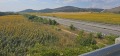 Продава ПАРЦЕЛ, гр. Сливница, област София област, снимка 13