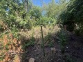 Продава КЪЩА, област Велико Търново, с. Страхилово • 17000 € • 15425621 — Holmes.bg