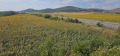 Продава  Парцел област София , гр. Сливница , 18254 кв.м | 94687934 - изображение [10]