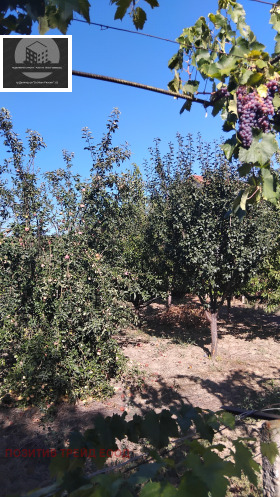 ������� ���� | Imot.bg � ����� ������ 9