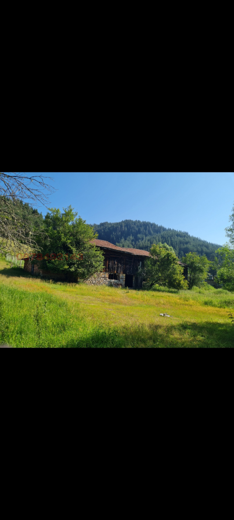 Til salgs  Plott region Smolyan , Borino , 2500 kvm | 33090613 - bilde [3]