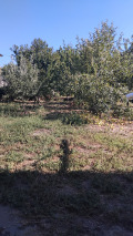 Продава  Къща област Кюстендил , с. Усойка , 190 кв.м | 91888020 - изображение [8]